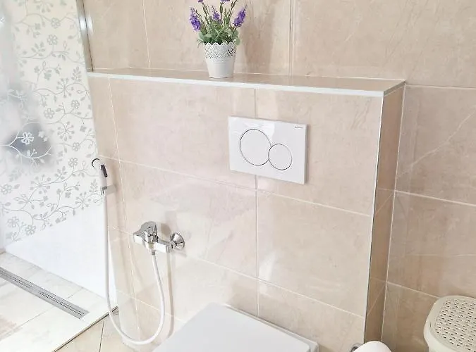 House Srecka Daire *